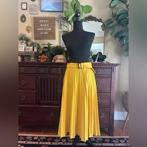 Ann Taylor Pleated Skirt Sz 6 EUC